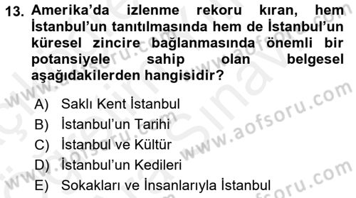 Kent Sosyolojisi Dersi 2018 - 2019 Yılı (Vize) Ara Sınav Soruları 13. Soru