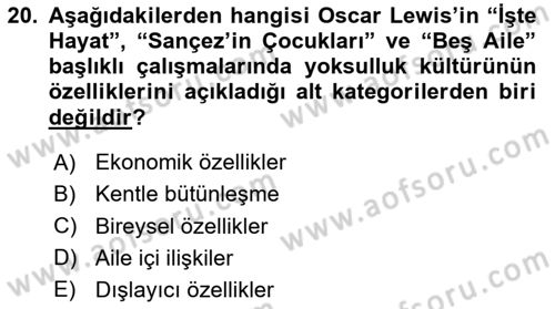 Kent Sosyolojisi Dersi 2023 - 2024 Yılı (Vize) Ara Sınav Soruları 20. Soru