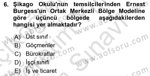 Kent Sosyolojisi Dersi 2023 - 2024 Yılı (Vize) Ara Sınav Soruları 6. Soru