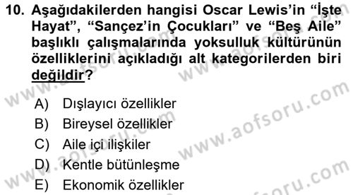 Kent Sosyolojisi Dersi 2023 - 2024 Yılı Yaz Okulu Sınav Soruları 10. Soru