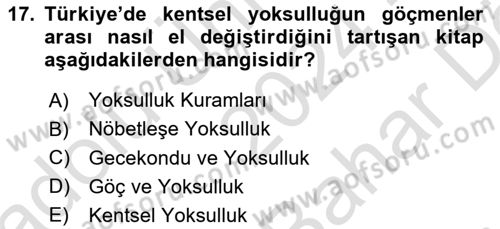Kent Sosyolojisi Dersi 2024 - 2025 Yılı (Vize) Ara Sınav Soruları 17. Soru