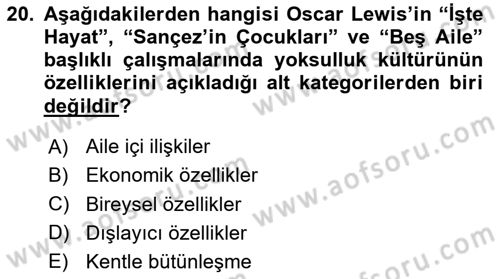 Kent Sosyolojisi Dersi 2024 - 2025 Yılı (Vize) Ara Sınav Soruları 20. Soru