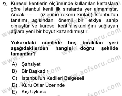 Kent Sosyolojisi Dersi 2024 - 2025 Yılı (Vize) Ara Sınav Soruları 9. Soru
