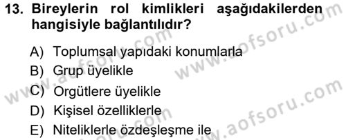 Yeni Toplumsal Hareketler Dersi 2012 - 2013 Yılı (Vize) Ara Sınav Soruları 13. Soru