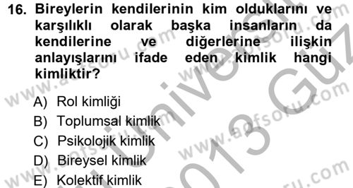 Yeni Toplumsal Hareketler Dersi Ara Sınavı Deneme Sınav Soruları 16. Soru