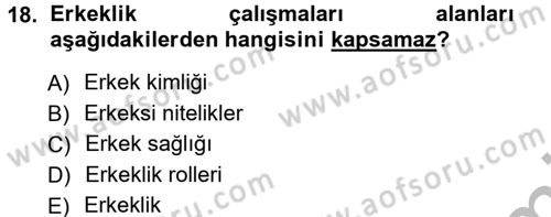 Yeni Toplumsal Hareketler Dersi Ara Sınavı Deneme Sınav Soruları 18. Soru