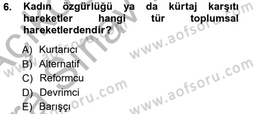 Yeni Toplumsal Hareketler Dersi Ara Sınavı Deneme Sınav Soruları 6. Soru
