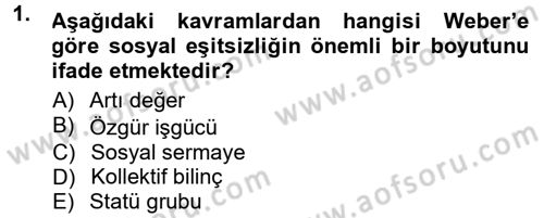 Yeni Toplumsal Hareketler Dersi 2012 - 2013 Yılı (Final) Dönem Sonu Sınav Soruları 1. Soru
