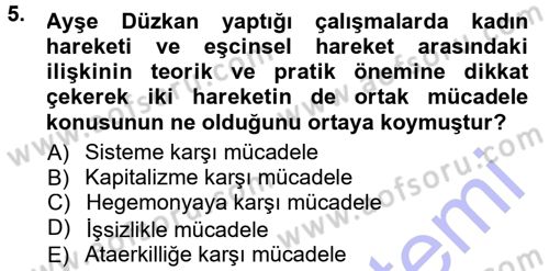 Yeni Toplumsal Hareketler Dersi 2012 - 2013 Yılı (Final) Dönem Sonu Sınav Soruları 5. Soru