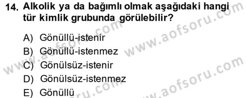 Yeni Toplumsal Hareketler Dersi Ara Sınavı Deneme Sınav Soruları 14. Soru