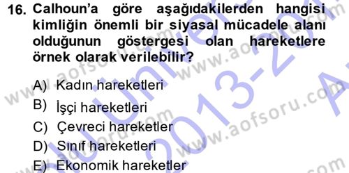 Yeni Toplumsal Hareketler Dersi Ara Sınavı Deneme Sınav Soruları 16. Soru