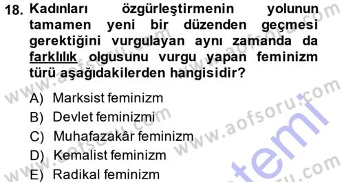 Yeni Toplumsal Hareketler Dersi 2013 - 2014 Yılı (Vize) Ara Sınav Soruları 18. Soru