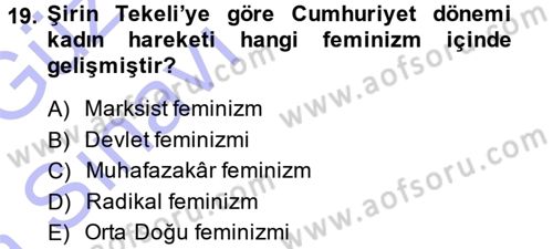 Yeni Toplumsal Hareketler Dersi 2013 - 2014 Yılı (Vize) Ara Sınav Soruları 19. Soru