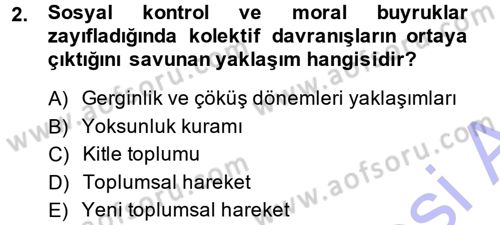 Yeni Toplumsal Hareketler Dersi 2013 - 2014 Yılı (Final) Dönem Sonu Sınav Soruları 2. Soru