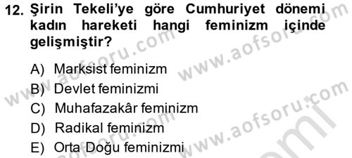 Yeni Toplumsal Hareketler Dersi 2013 - 2014 Yılı Tek Ders Sınav Soruları 12. Soru