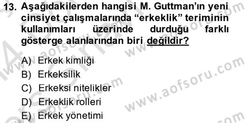 Yeni Toplumsal Hareketler Dersi 2013 - 2014 Yılı Tek Ders Sınav Soruları 13. Soru