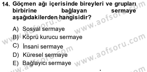 Yeni Toplumsal Hareketler Dersi 2013 - 2014 Yılı Tek Ders Sınav Soruları 14. Soru