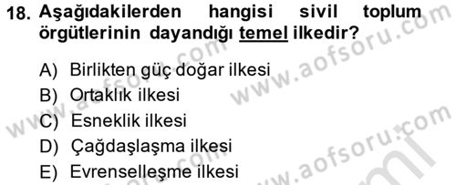 Yeni Toplumsal Hareketler Dersi 2013 - 2014 Yılı Tek Ders Sınav Soruları 18. Soru