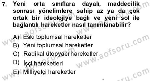 Yeni Toplumsal Hareketler Dersi 2013 - 2014 Yılı Tek Ders Sınav Soruları 7. Soru