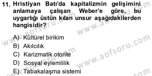 Yeni Toplumsal Hareketler Dersi Ara Sınavı Deneme Sınav Soruları 11. Soru