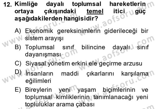 Yeni Toplumsal Hareketler Dersi Ara Sınavı Deneme Sınav Soruları 12. Soru