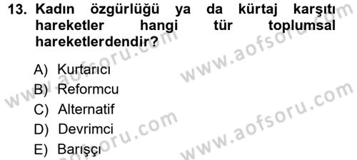 Yeni Toplumsal Hareketler Dersi Ara Sınavı Deneme Sınav Soruları 13. Soru
