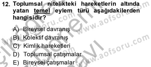 Yeni Toplumsal Hareketler Dersi 2014 - 2015 Yılı (Final) Dönem Sonu Sınav Soruları 12. Soru