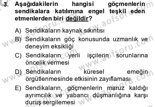 Yeni Toplumsal Hareketler Dersi 2014 - 2015 Yılı (Final) Dönem Sonu Sınav Soruları 3. Soru