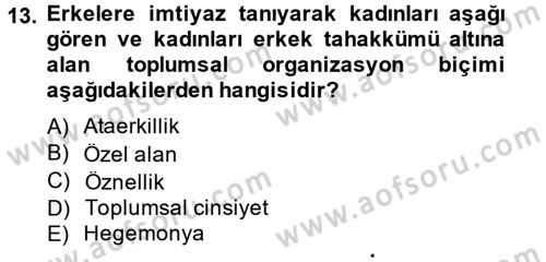 Yeni Toplumsal Hareketler Dersi 2014 - 2015 Yılı Tek Ders Sınav Soruları 13. Soru