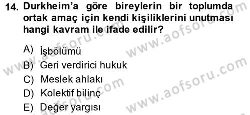 Yeni Toplumsal Hareketler Dersi 2014 - 2015 Yılı Tek Ders Sınav Soruları 14. Soru