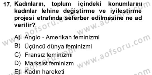 Yeni Toplumsal Hareketler Dersi 2014 - 2015 Yılı Tek Ders Sınav Soruları 17. Soru