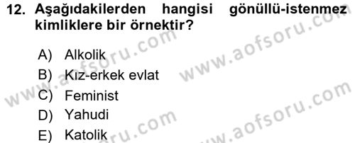 Yeni Toplumsal Hareketler Dersi 2015 - 2016 Yılı (Vize) Ara Sınav Soruları 12. Soru