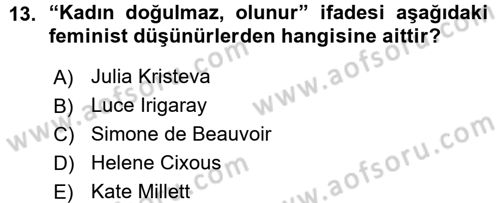Yeni Toplumsal Hareketler Dersi 2015 - 2016 Yılı (Vize) Ara Sınav Soruları 13. Soru