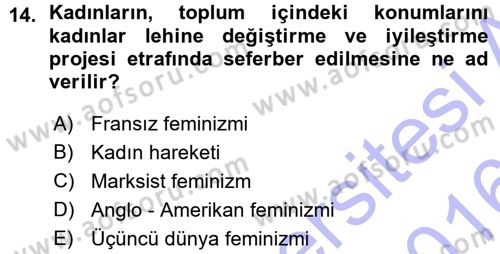 Yeni Toplumsal Hareketler Dersi Ara Sınavı Deneme Sınav Soruları 14. Soru