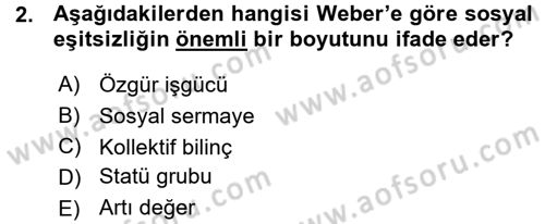 Yeni Toplumsal Hareketler Dersi Ara Sınavı Deneme Sınav Soruları 2. Soru