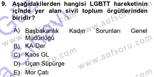 Yeni Toplumsal Hareketler Dersi Ara Sınavı Deneme Sınav Soruları 9. Soru