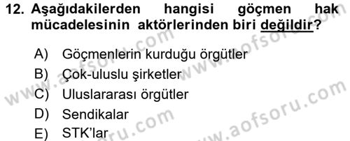 Yeni Toplumsal Hareketler Dersi 2016 - 2017 Yılı 3 Ders Sınav Soruları 12. Soru