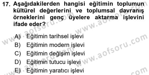 Yeni Toplumsal Hareketler Dersi 2016 - 2017 Yılı 3 Ders Sınav Soruları 17. Soru