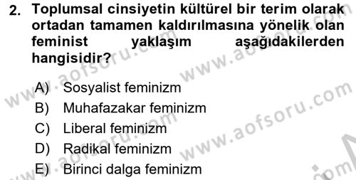 Yeni Toplumsal Hareketler Dersi 2016 - 2017 Yılı 3 Ders Sınav Soruları 2. Soru
