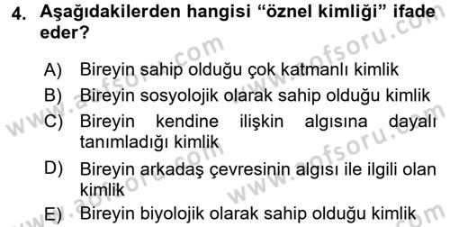 Yeni Toplumsal Hareketler Dersi 2016 - 2017 Yılı 3 Ders Sınav Soruları 4. Soru