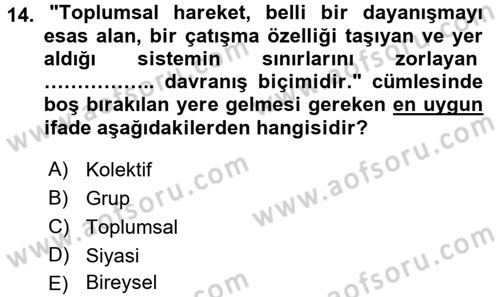 Yeni Toplumsal Hareketler Dersi Ara Sınavı Deneme Sınav Soruları 14. Soru