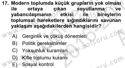 Yeni Toplumsal Hareketler Dersi 2016 - 2017 Yılı (Vize) Ara Sınav Soruları 17. Soru