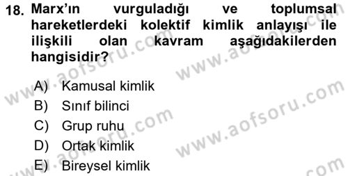 Yeni Toplumsal Hareketler Dersi Ara Sınavı Deneme Sınav Soruları 18. Soru