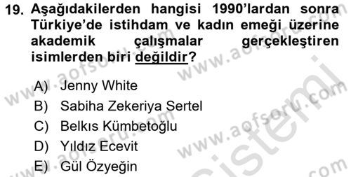 Yeni Toplumsal Hareketler Dersi 2016 - 2017 Yılı (Vize) Ara Sınav Soruları 19. Soru