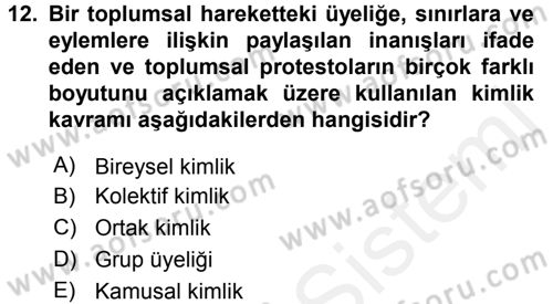 Yeni Toplumsal Hareketler Dersi 2016 - 2017 Yılı (Final) Dönem Sonu Sınav Soruları 12. Soru