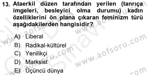 Yeni Toplumsal Hareketler Dersi 2016 - 2017 Yılı (Final) Dönem Sonu Sınav Soruları 13. Soru