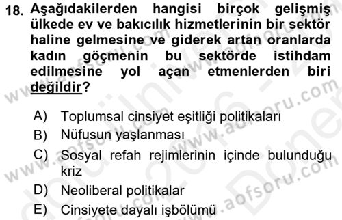 Yeni Toplumsal Hareketler Dersi 2016 - 2017 Yılı (Final) Dönem Sonu Sınav Soruları 18. Soru