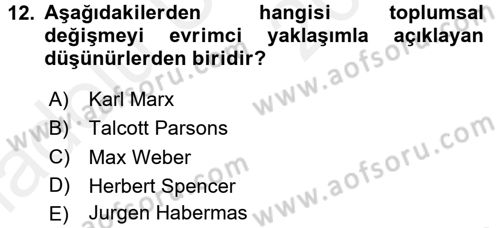 Yeni Toplumsal Hareketler Dersi 2017 - 2018 Yılı 3 Ders Sınav Soruları 12. Soru