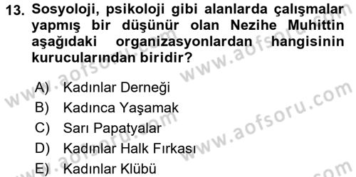 Yeni Toplumsal Hareketler Dersi 2017 - 2018 Yılı 3 Ders Sınav Soruları 13. Soru