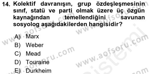 Yeni Toplumsal Hareketler Dersi 2017 - 2018 Yılı 3 Ders Sınav Soruları 14. Soru